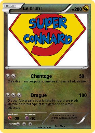 Pokemon Le brun !
