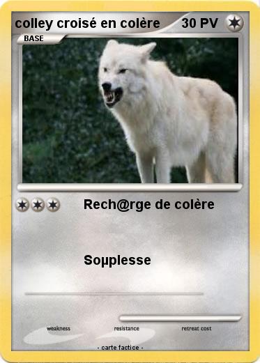 Pokemon colley croisé en colère