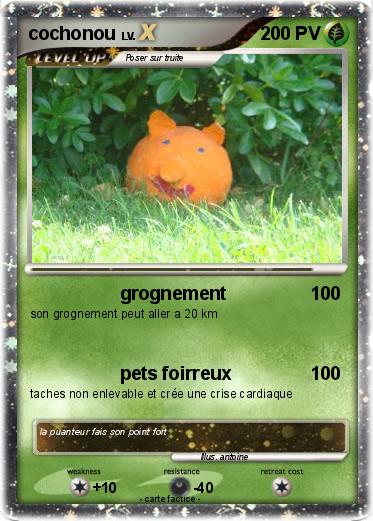Pokemon cochonou