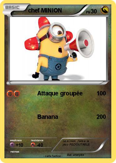Pokemon chef MINION