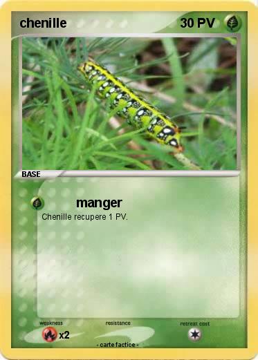 Pokemon chenille