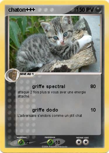 Pokemon chaton+++