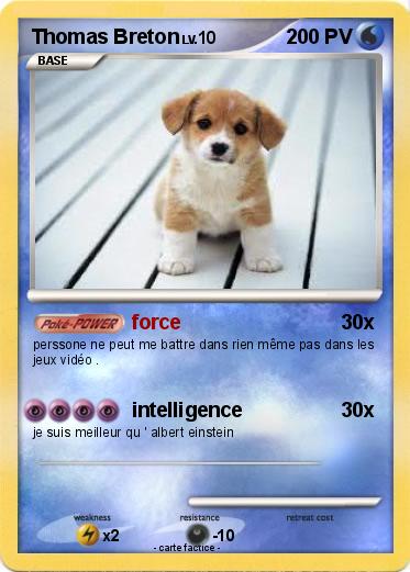 Pokemon Thomas Breton