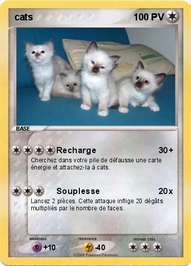 Pokemon cats