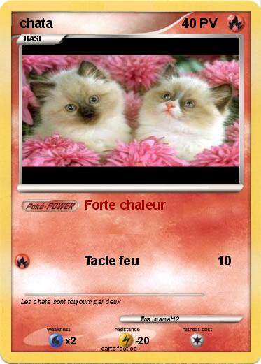 Pokemon chata