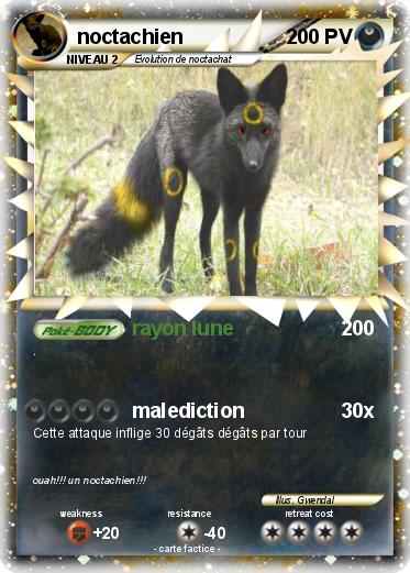 Pokemon noctachien