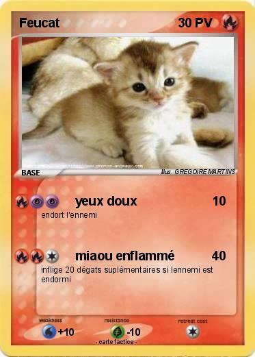 Pokemon Feucat
