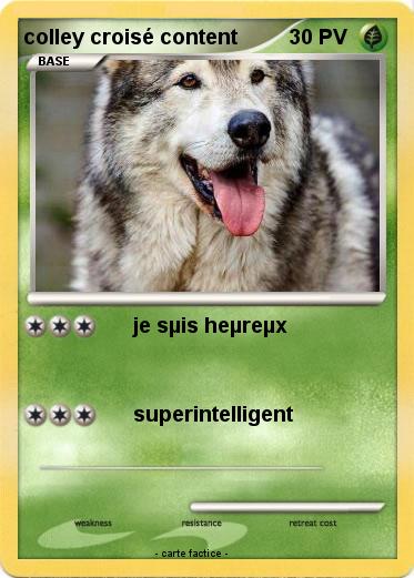 Pokemon colley croisé content