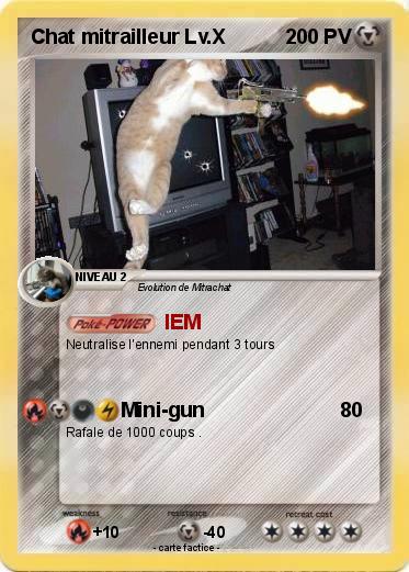 Pokemon Chat mitrailleur Lv.X