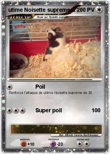 Pokemon utime Noisette supreme