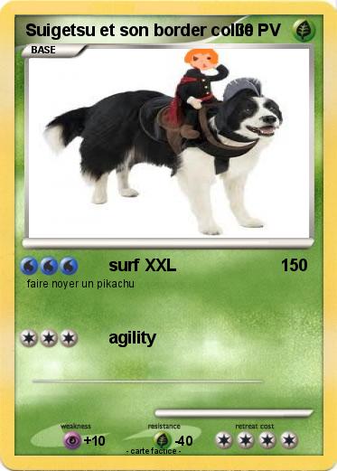 Pokemon Suigetsu et son border collie