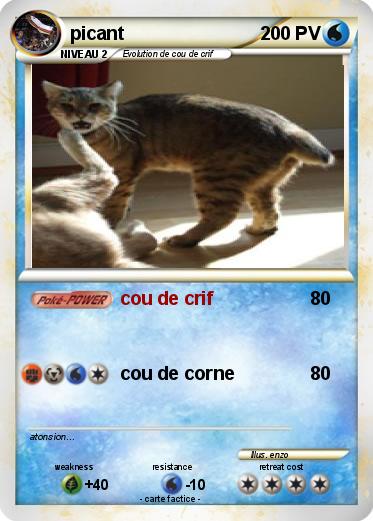 Pokemon picant