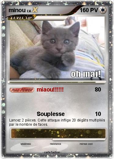 Pokemon minou
