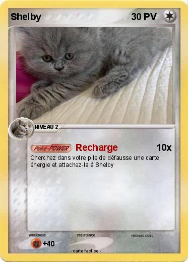 Pokemon Shelby