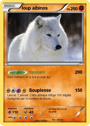 Pokemon loup albinos