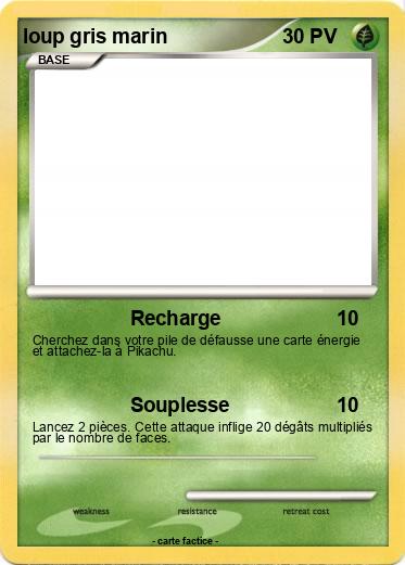 Pokemon loup gris marin