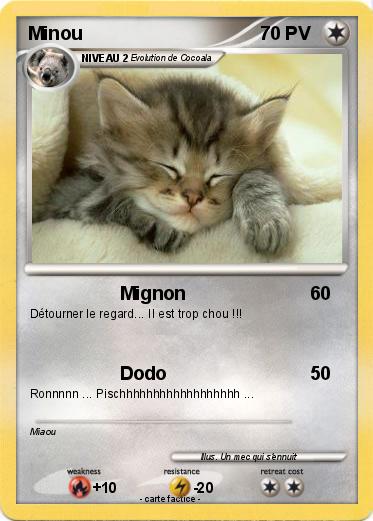 Pokemon Minou