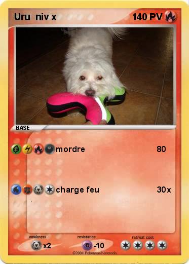 Pokemon Uru  niv x