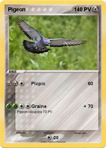 Pokemon Pigeon