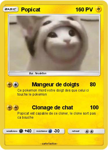 Pokemon Popicat