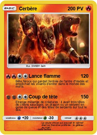 Pokemon Cerbère