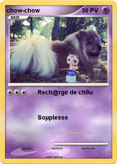 Pokemon chow-chow