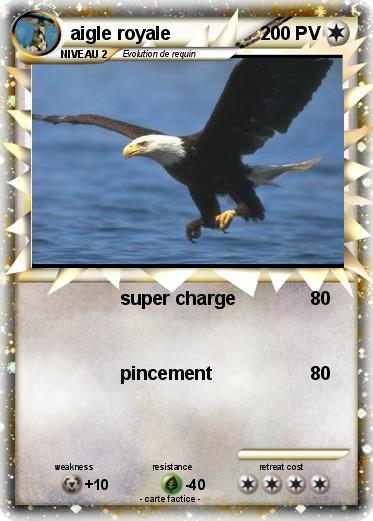 Pokemon aigle royale