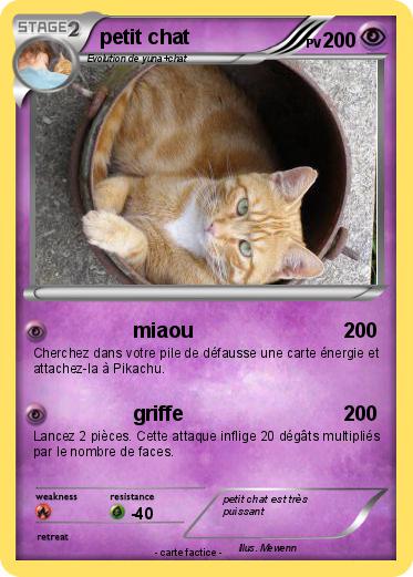 Pokemon petit chat