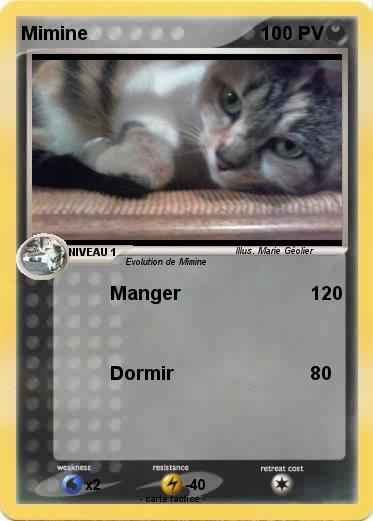 Pokemon Mimine