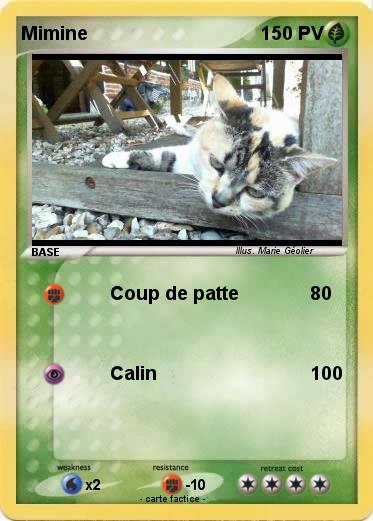 Pokemon Mimine