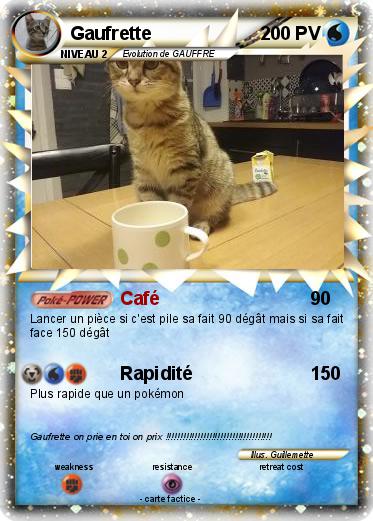 Pokemon Gaufrette