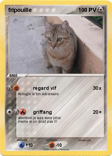 Pokemon fripouille