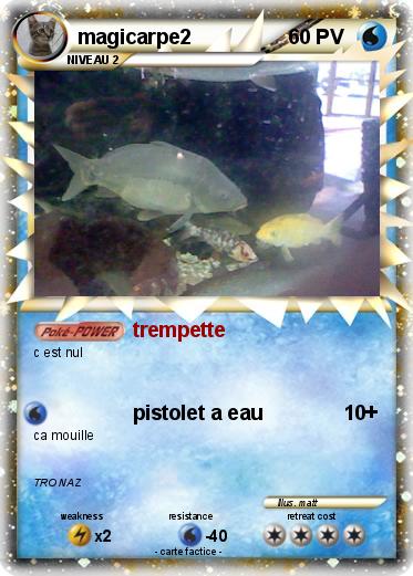 Pokemon magicarpe2