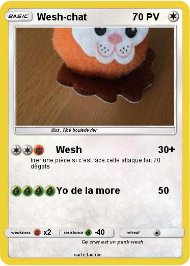 Pokemon Wesh-chat