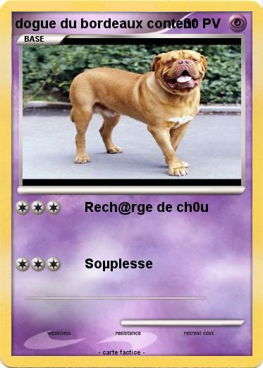 Pokemon dogue du bordeaux content