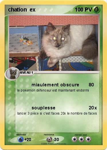 Pokemon chation  ex