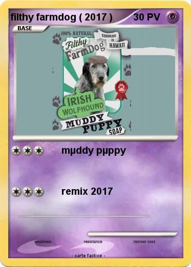 Pokemon filthy farmdog ( 2017 )