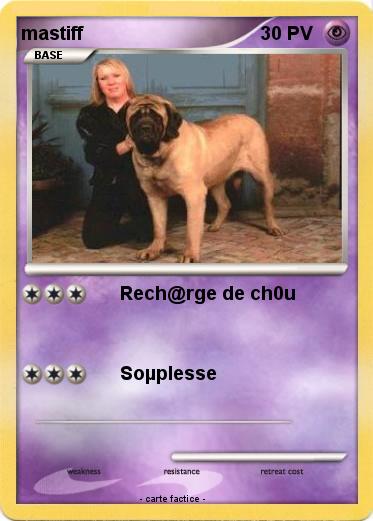 Pokemon mastiff