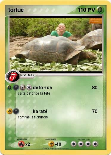 Pokemon tortue
