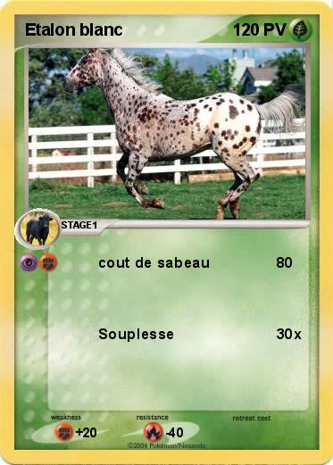 Pokemon Etalon blanc