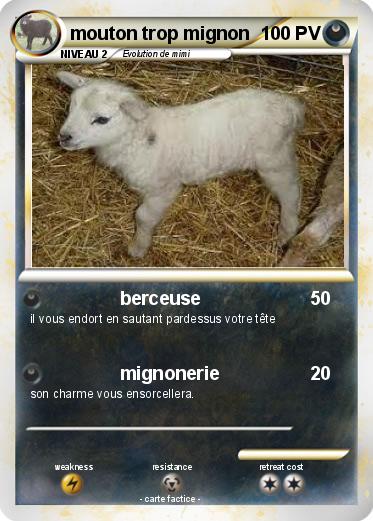Pokemon mouton trop mignon
