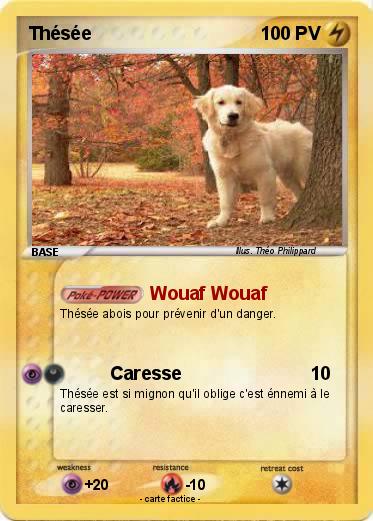 Pokemon Thésée