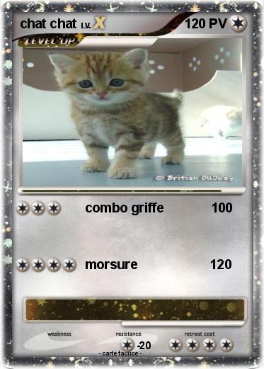 Pokemon chat chat