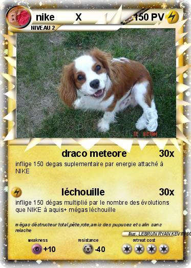 Pokemon nike        X