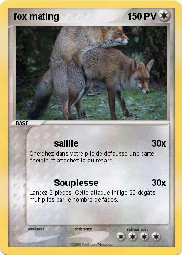 Pokemon fox mating