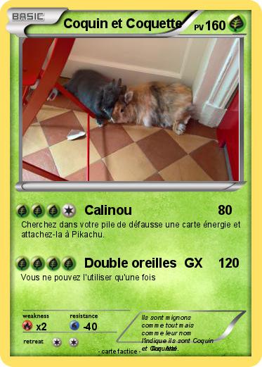 Pokemon Coquin et Coquette