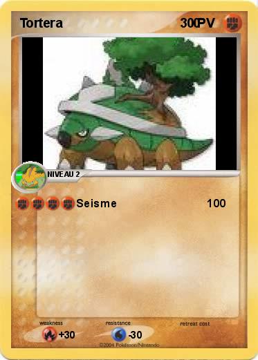 Pokemon Tortera                                     0