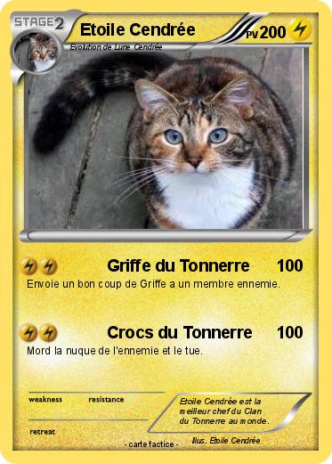 Pokemon Etoile Cendrée