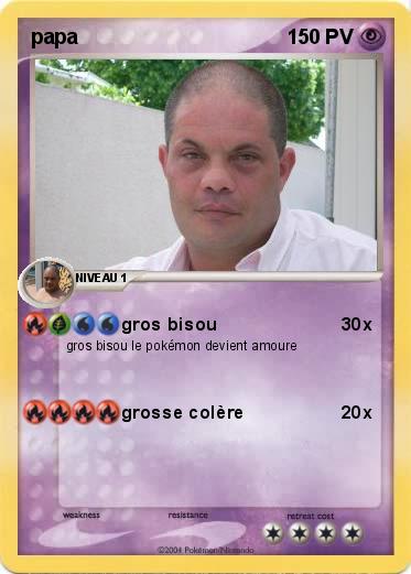 Pokemon papa