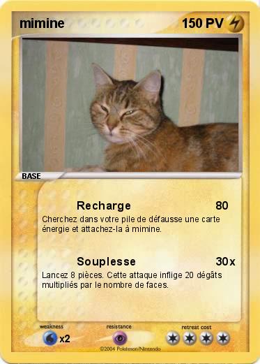 Pokemon mimine